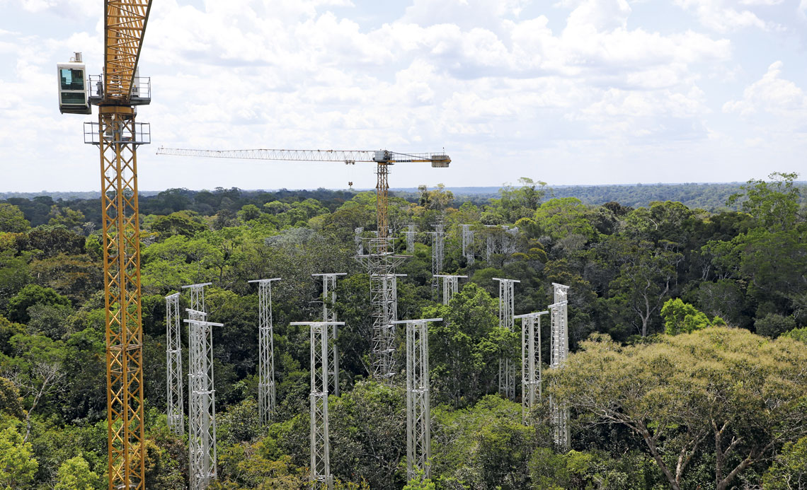 Experimento AmazonFACE replica em maior escala o que foi feito no laboratório / Foto: Carlos Alberto Quesada / Inpa