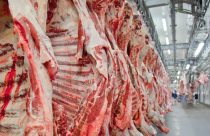 carne bovina