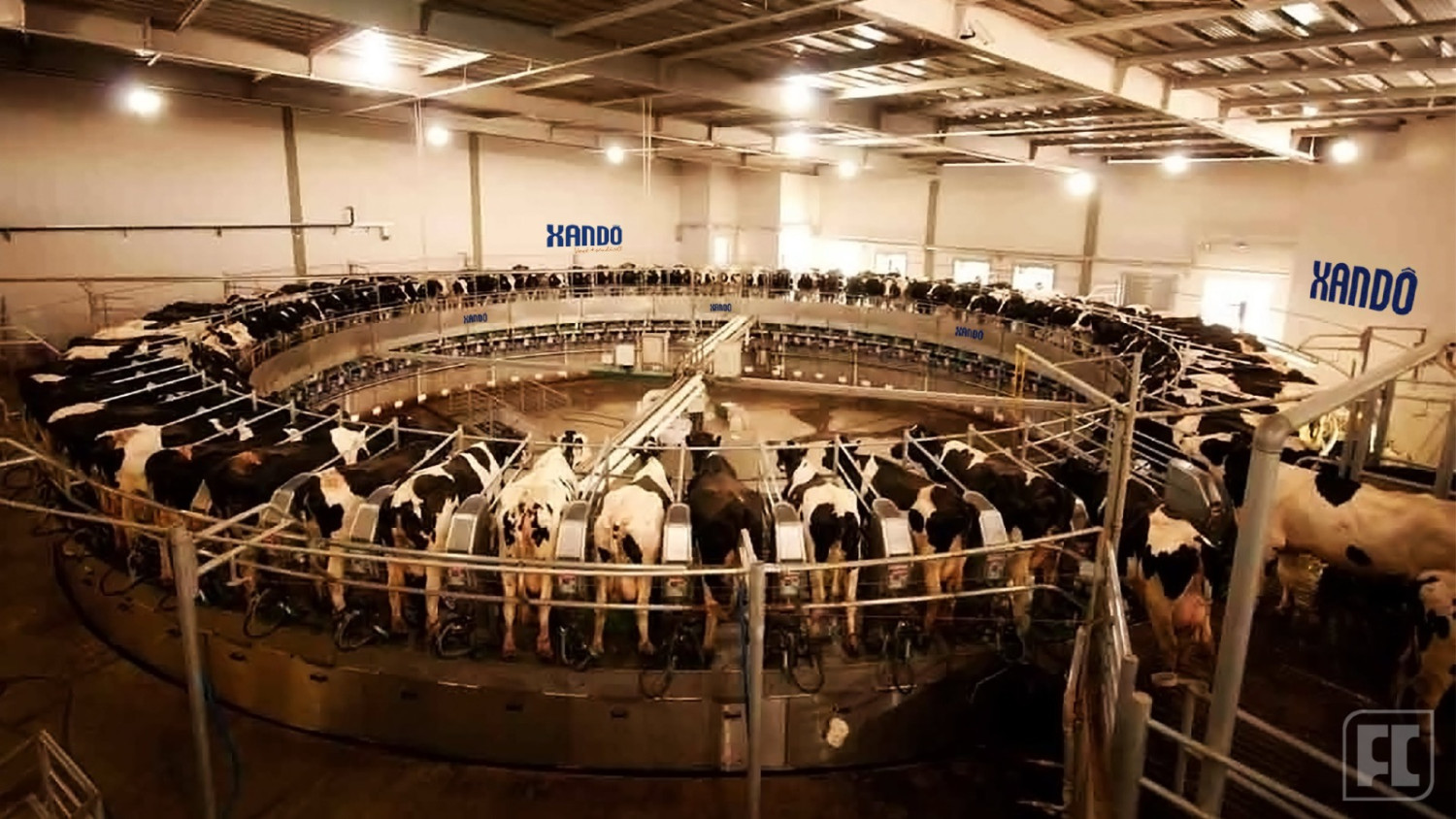 Fazenda Colorado, maior produtora de leite