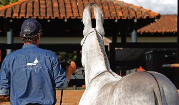 Conheça o Rei dos Jumentos - rancho abate fernando