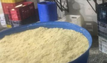 Operação apreende cerca de 20 toneladas de queijos em Minas Gerais