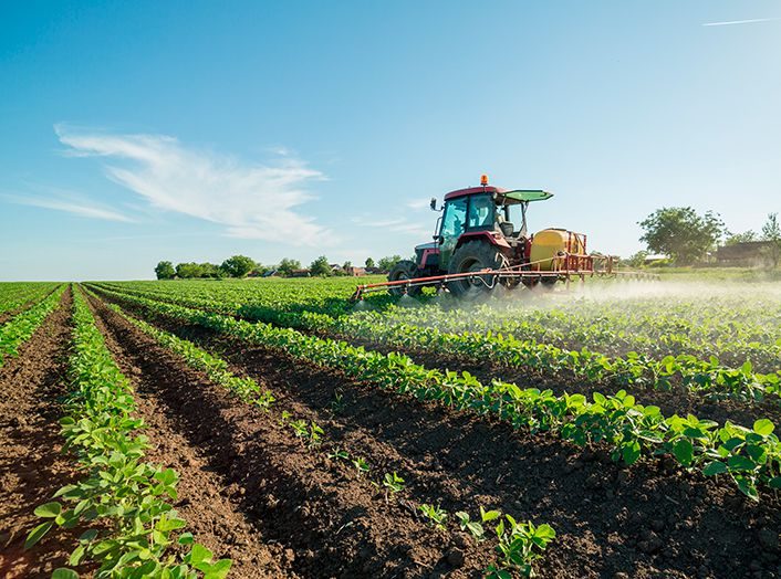 Estresse térmico: Entenda como o calor em excesso prejudica plantas e colheitas