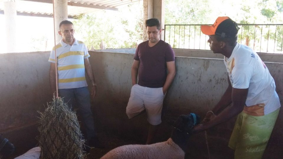 Conheça os empreendimentos agrícolas de Léo Magalhães