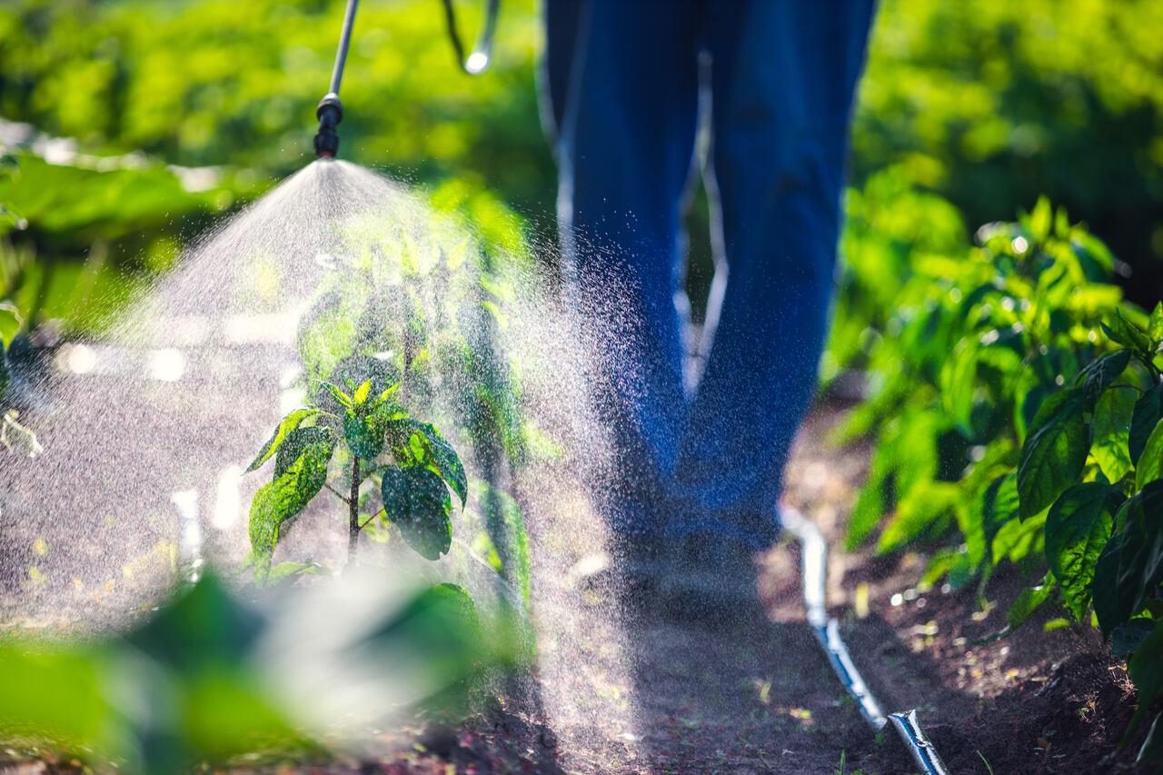 Marcos Fava Neves: 5 pontos para ficar de olho no mercado agro em outubro