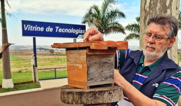 Abelhas impactam a produtividade da soja