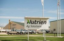 Empresa de fertilizantes canadense deixa Argentina e terá fábrica no Brasil