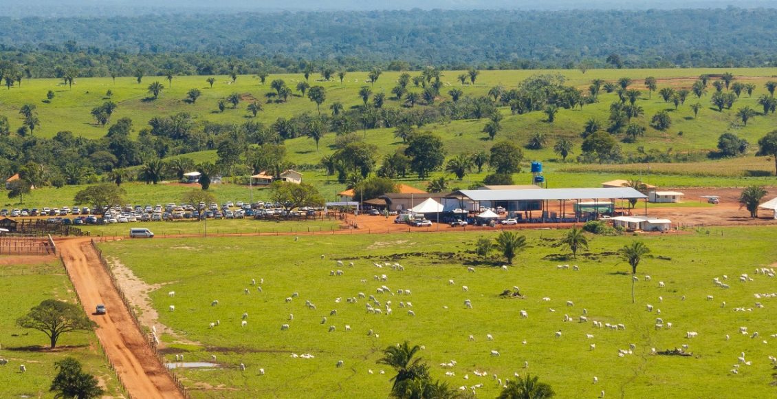 Conheca a fazenda que apostou na inovacao para multiplicar por 10 a sua produtividade - Grupo Agrolina