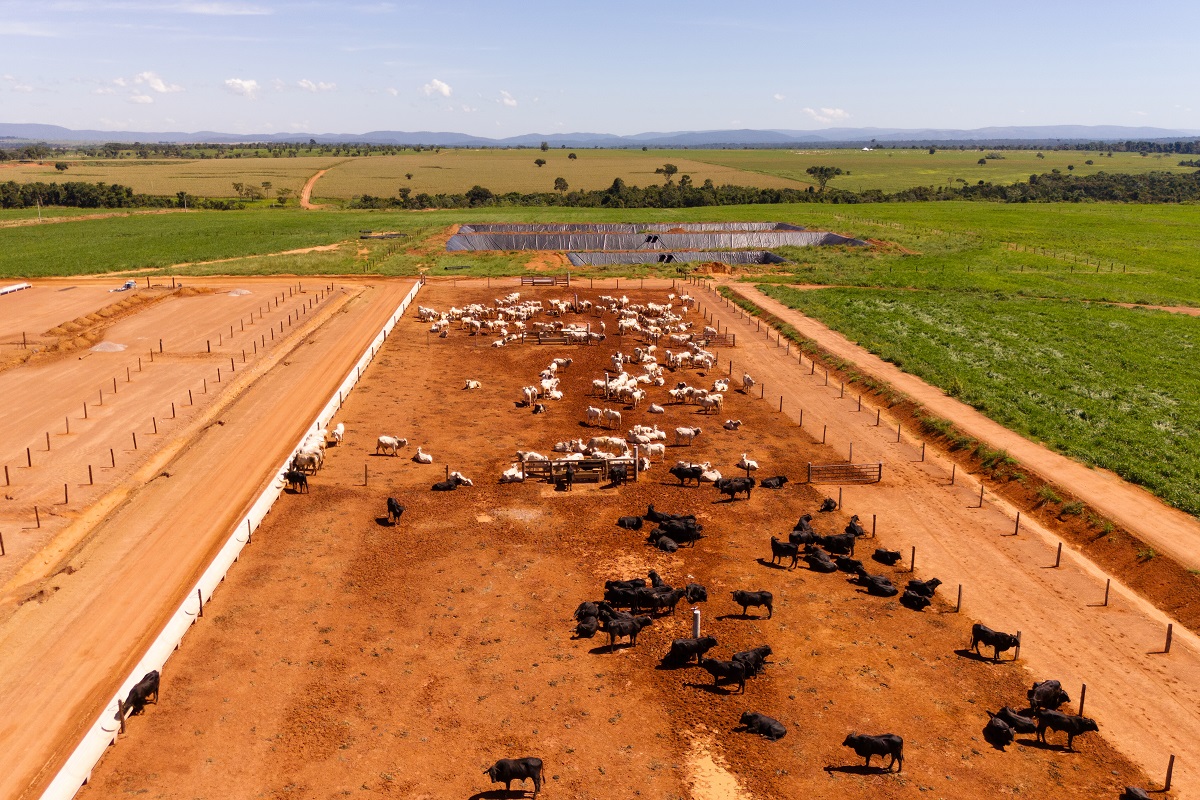 Conheca a fazenda que apostou na inovacao para multiplicar por 10 a sua produtividade - Grupo Agrolina