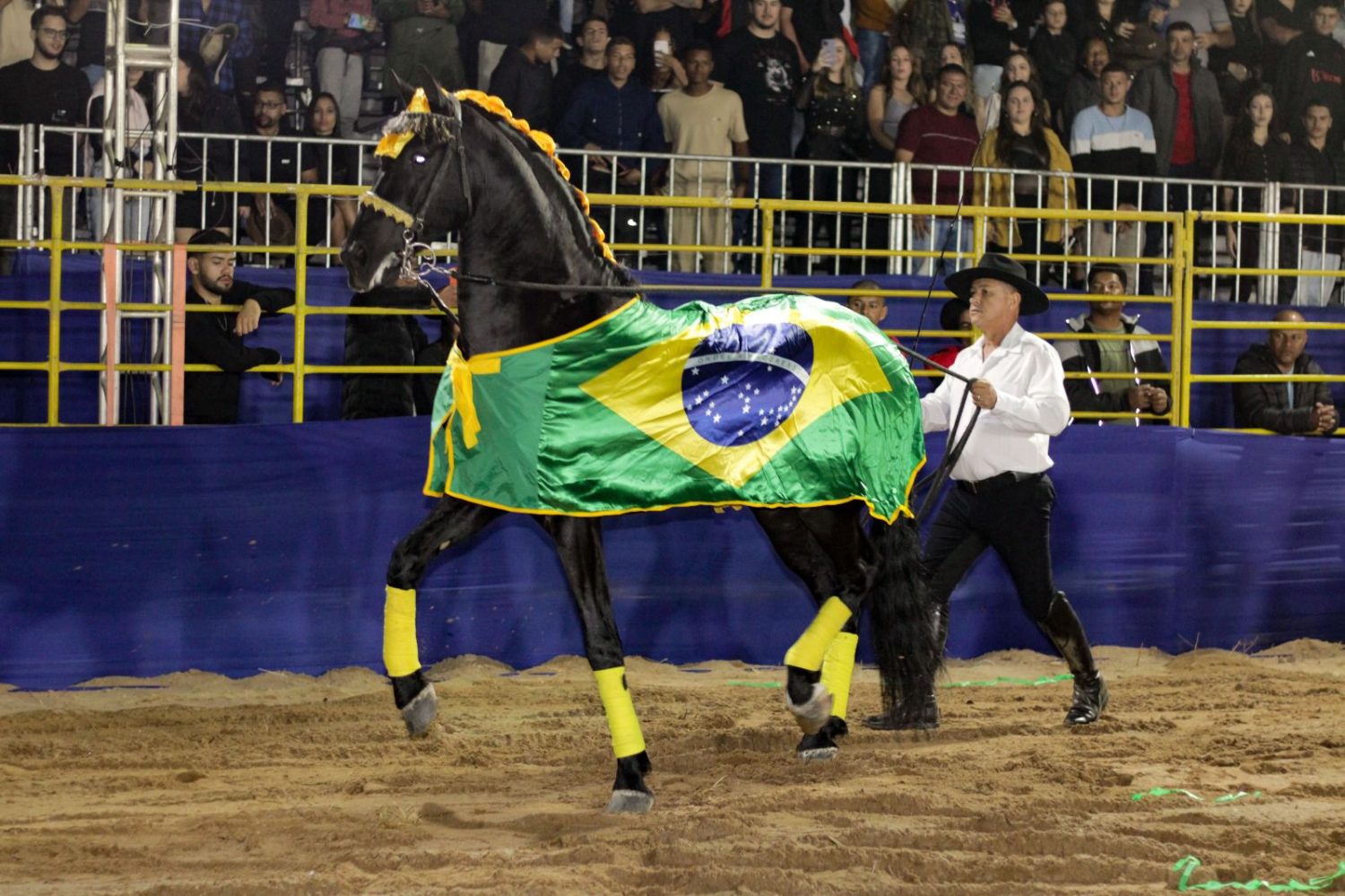 Show Bentinho com cavalo Tião Carreiro