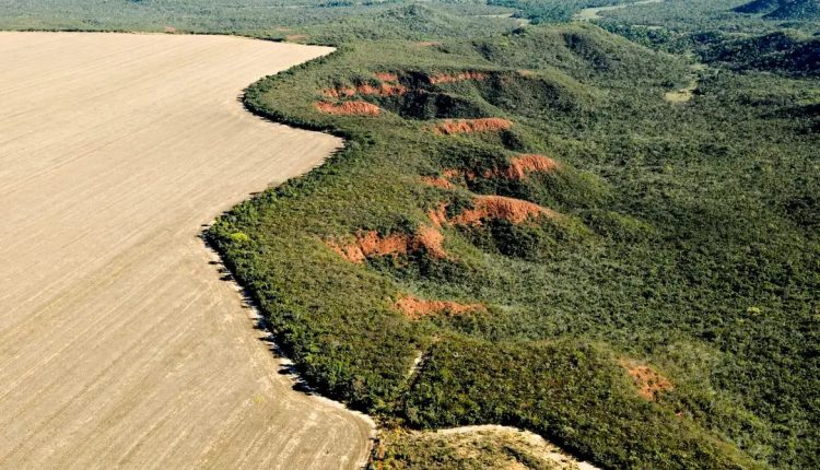 Área desmatada no Brasil