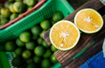 Descubra os 5 cultivos mais lucrativos do Brasil