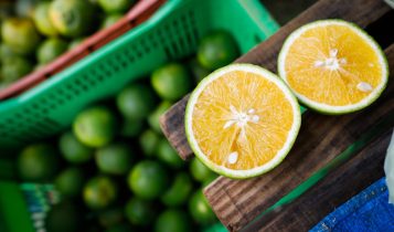 Descubra os 5 cultivos mais lucrativos do Brasil