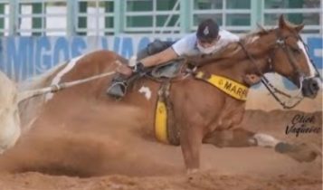 cavalo Marreta