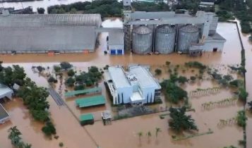 perdas de soja em canoas