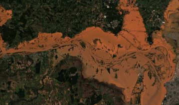 Perdas na soja do Rio Grande do Sul chegam a 2,4 milhões de toneladas