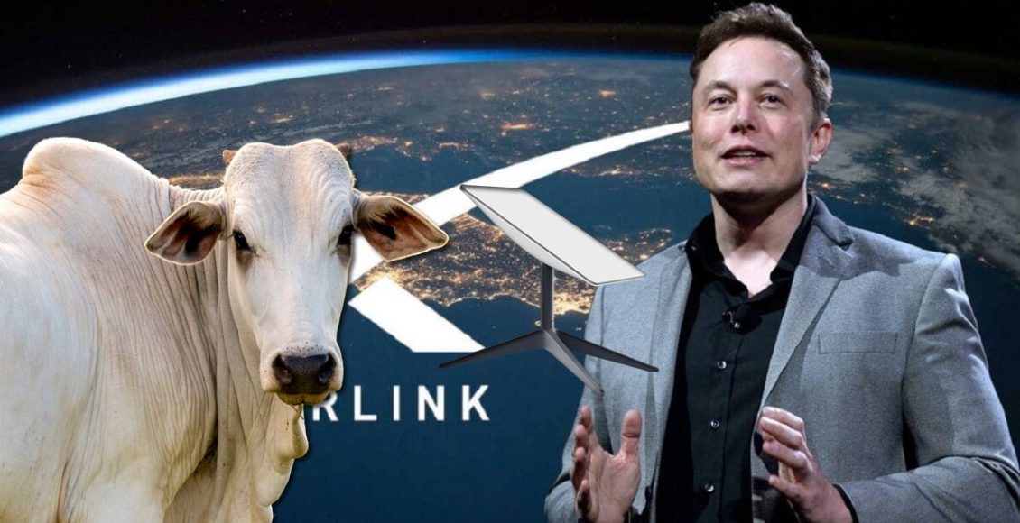 Elon Musk libera internet para produtor