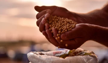 Superintendência do Cade aprova fusão entre tradings Bunge e Viterra