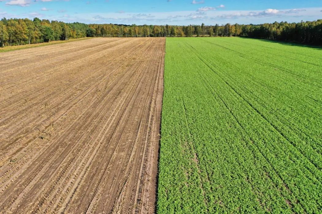 Impulsionando a sustentabilidade agrícola com rotação de culturas