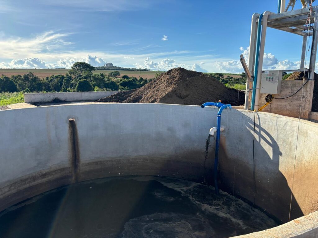 Fazenda aumenta produção de leite em 380% e mostra como