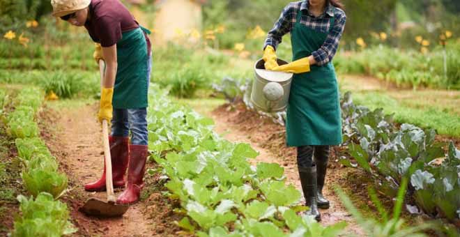 Quais são os diferentes tipos de agricultura praticados no Brasil?