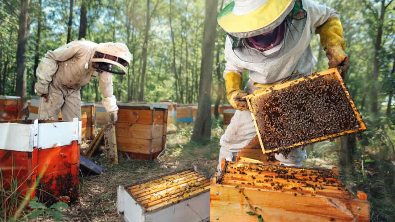 Potencialize sua produtividade agrícola: 4 dicas essenciais