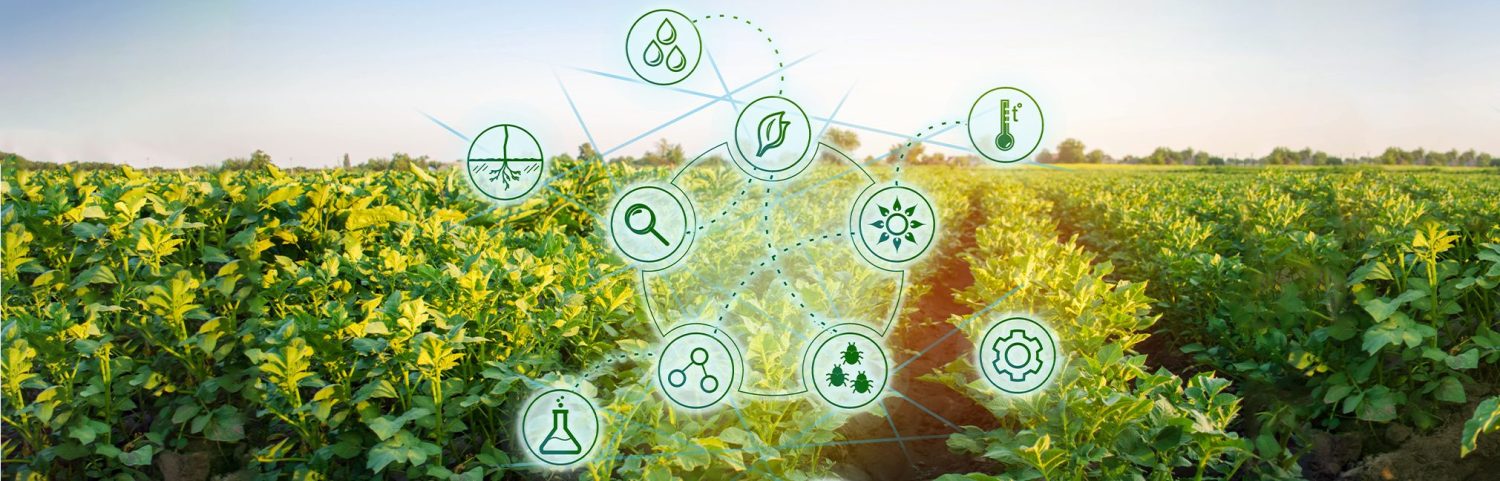 Potencialize sua produtividade agrícola: 4 dicas essenciais