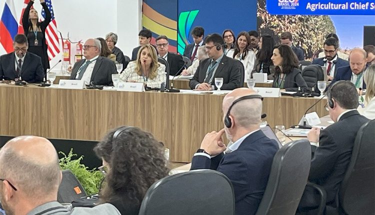 Líderes de ciência agrícola do G20 defendem união para combate à fome