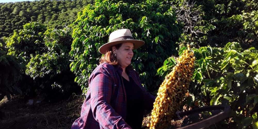 Serra Negra realiza “Festival do Café” para apresentar cafés de alta qualidade produzidos na região