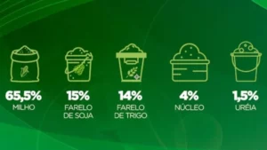 Suplementação: conheça receita de ração com milho, soja, trigo e ureia para gado