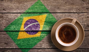 Dia nacional do café e do milho: A relevância de dois grãos que simbolizam o Brasil