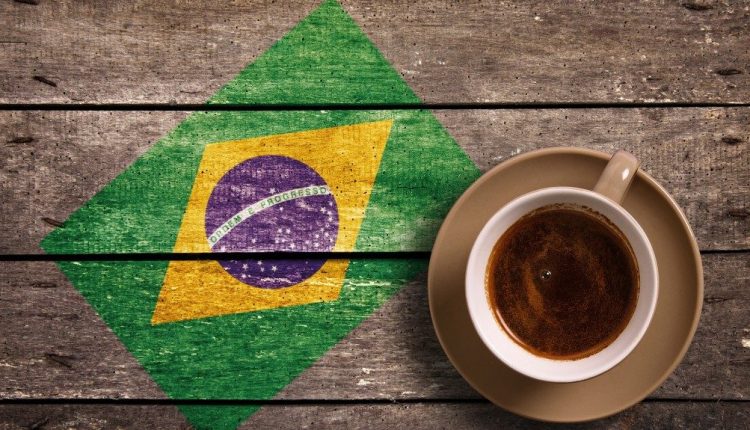 Dia nacional do café e do milho: A relevância de dois grãos que simbolizam o Brasil