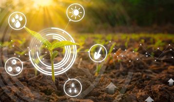 5 razões por trás do crescimento gigantesco do mercado de bioinsumos no Brasil