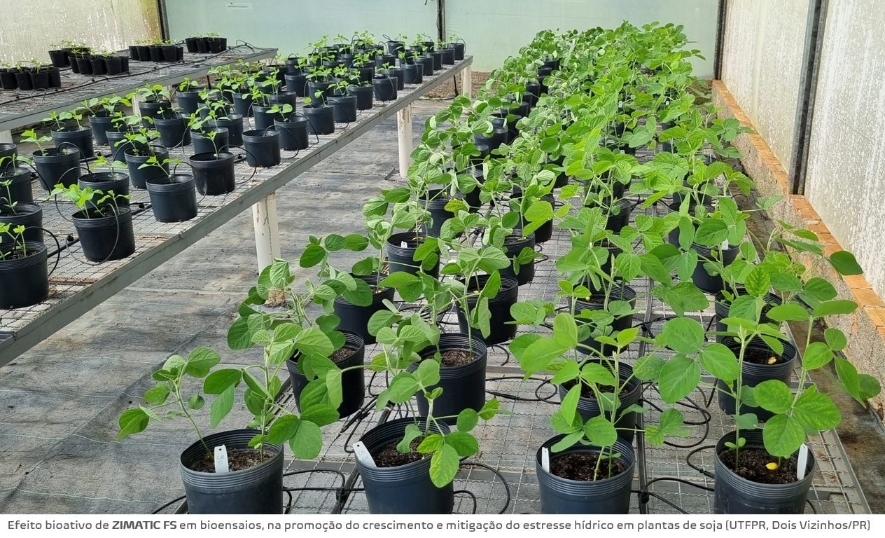 Biofertilizante de Hidrólise Enzimática