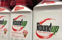 CEO da Bayer diz que processos sobre o herbicida Roundup são ameaça