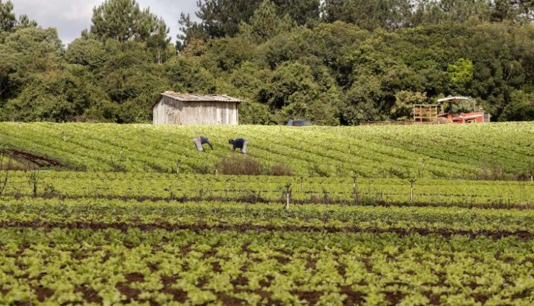 Indígenas e quilombolas poderão comprar imóvel rural com recursos da reforma agrária
