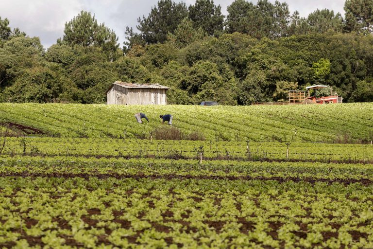 Indígenas e quilombolas poderão comprar imóvel rural com recursos da reforma agrária