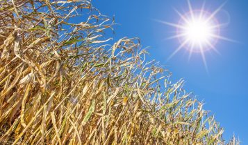 Apelo à razão: a agropecuária brasileira não pode perder essa oportunidade
