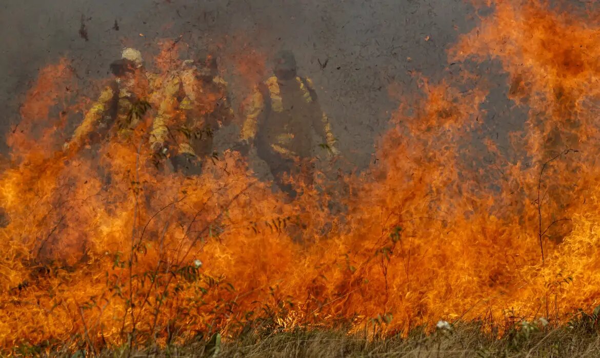 Defesa Civil de SP estende alerta de risco elevado para incêndios no estado