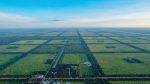 BrownCo - Fazenda à venda por 90 milhões