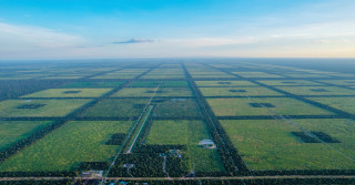 BrownCo - Fazenda à venda por 90 milhões