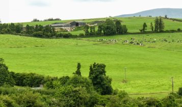 Começa o prazo para emissão do Certificado de Cadastro de Imóvel Rural 2024