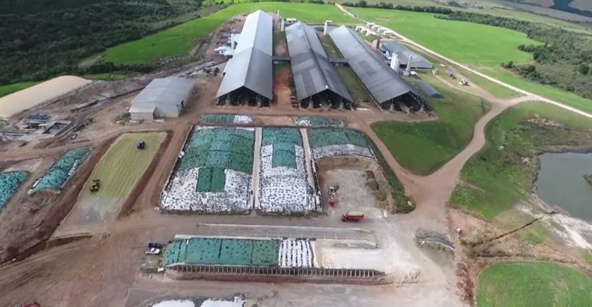 Recorde: Fazenda MelkStad atinge produção de 100 mil litros em 24h; Vídeo