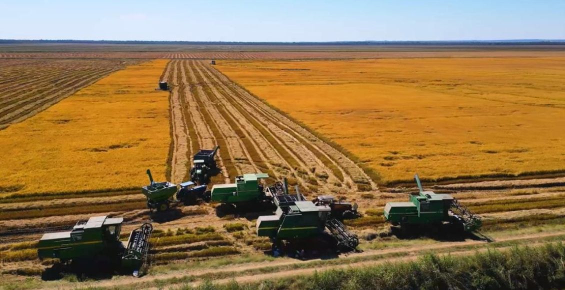 Fazenda vai a Leilão no Pantanal