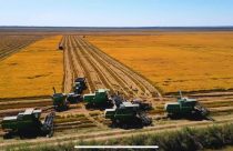 Fazenda vai a Leilão no Pantanal