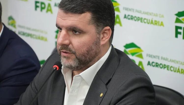 'Em vez de gastar comprando arroz, governo deveria focar no Plano Safra', diz Lupion, da FPA