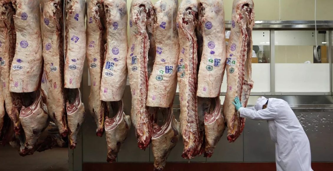 exportação de carne bovina - Exportações de carne bovina