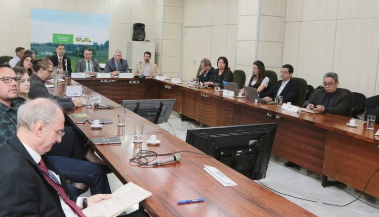 Primeira reunião ordinária da Câmara de Gestão de Risco Agropecuário reúne mais de 60 entidades