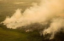 Incêndios: Mato Grosso do Sul decreta situação de emergência