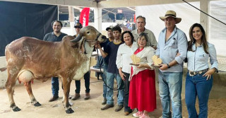 O primeiro clone de Gir Leiteiro torna-se também campeã de torneio leiteiro com média de 63.263kg leite.