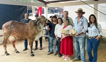 O primeiro clone de Gir Leiteiro torna-se também campeã de torneio leiteiro com média de 63.263kg leite.